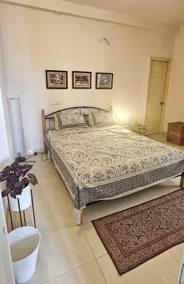 Vivia Serenity - Image 4
