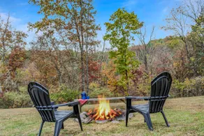 Whispering Hills: Secluded | Pets | Wifi - Image 3