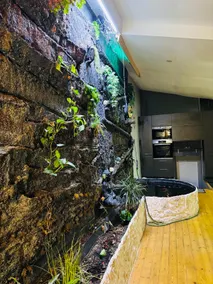 Jungle cottage in the center of Fumel - Image 4