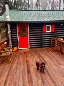The little cabin that could…Catskills Cutie - Image 3
