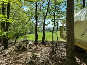 Ultimate glamping - Image 5