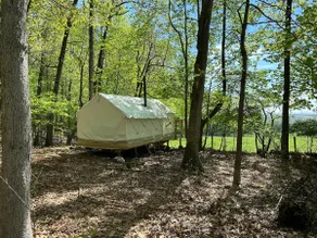 Ultimate glamping - Image 4