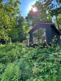 Tiny cabin with alpacas - Image 2