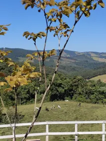 View of Mantiqueira in Monte Verde - Image 5