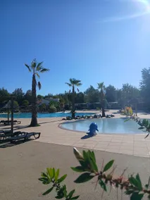 The Paradise of the South - Image 5