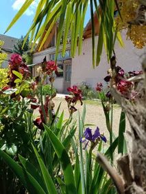 Gîte des Palmiers, Ameugny Taizé vacation rental - Image 2