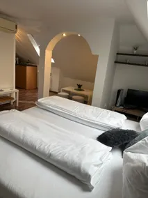 Apartment in Graz with large private parking space - Image 5