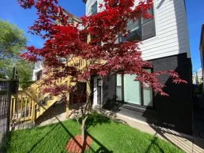 Minimalist Avondale Stay - 3 bedrooms 1 bathroom - Image 5