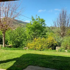 La Cavada Rural Apartment - Image 5