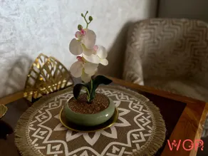 WOR's Flamingo Airbnb - Image 4