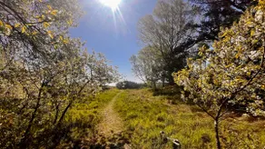 Beach retreat close to sea, nature & walking path - Image 5