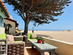 Calm & Secluded Old-Hollywood Beachfront Home - Image 4
