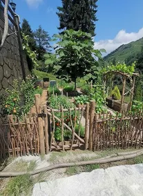 Bungalow / Rize / Turkey - Image 5