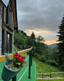 Bungalow / Rize / Turkey - Image 2