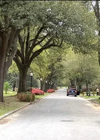 Southern Comfort | Retro Retreat, Walk the Avenues - Image 4