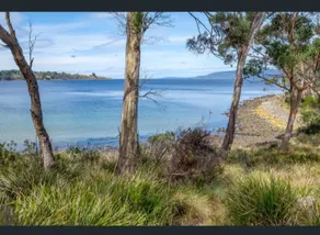 The Cove 20 minutes from the heart of cygnet - Image 4