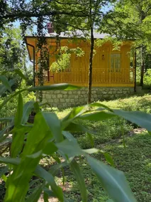Parna’s riverside cabin surrounded by green forest - Image 2