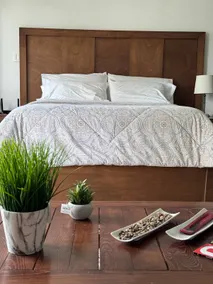 An amazing loft apartment in the south zone - Image 2