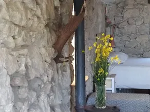 El Refugi del Mont in the heart of nature - Image 2