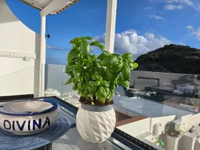Divina Seaside Suite Ischia - Image 5