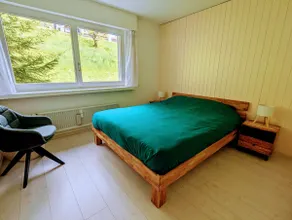 Stunning Alpine Views 3 bedroom apartment Leysin - Image 3