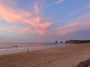 Tranquility and peace on the coast. Pequeña Lagartija - Image 4