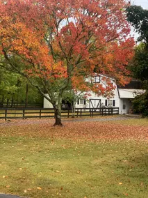 Cozy Country Stay - Image 3