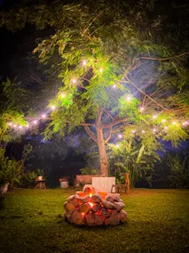 Cozy cabin near Manuel Antonio - Image 4