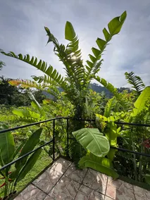Cozy cabin near Manuel Antonio - Image 5