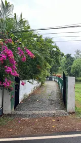 Bougainvillea stays - Image 3