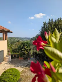 Appartamento in Monferrato di Dominga - Image 4