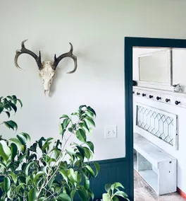 Dylan’s Place - Image 3