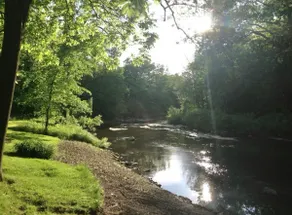 Relaxing River Suite - Image 2