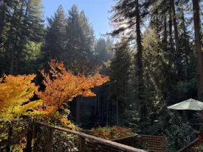 Redwood Treehouse with Hot Tub - Image 2