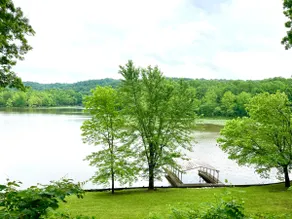Private Cabin+Creek - Image 5