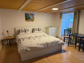Charming Cottage nr Basel. Parking, WiFi, Hiking. - Image 2