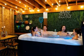 Cozy Cabin w/EV Charger on 10 Acres! Hot Tub&Sauna - Image 3