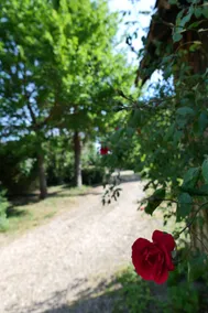 La Longère du Val, the bucolic charm of Saumur. - Image 2