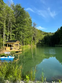 Couples-Only Cabin w/ Private Waterfall + Hot Tub - Image 4