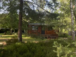 Cottage in the heart of the forest. - Image 3