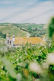 Country house, peace and nature, under the Maiella - Image 5