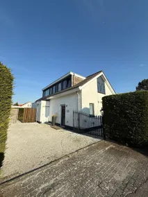 Spruce 130 - Image 2
