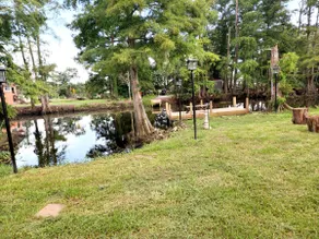 Lil Bayou Living - Image 4