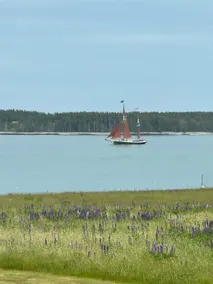 Hard Aground - Ocean View - Pet Friendly! SWH - Image 4