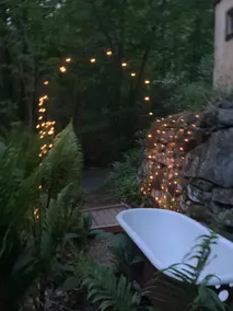 forest retreat; off-grid writers cabin - Image 2