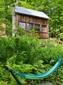 forest retreat; off-grid writers cabin - Image 5