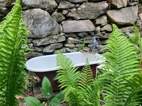 forest retreat; off-grid writers cabin - Image 3