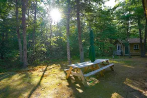 Family-Focused Cape Cod Cabin near Mashpee Pond - Image 3
