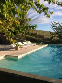Villa in the Langhe with park, pool, Starlink, and wifi - Image 2