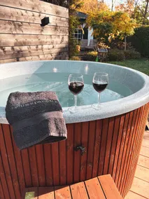The Veluwe paradise. Now with a lovely hot tub. - Image 4